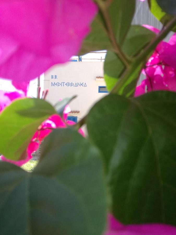Mediterranea Guesthouse B&B Portopalo Di Capo Passero Eksteriør billede
